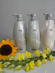 Opal brand set 