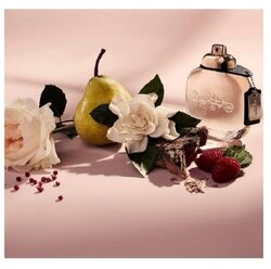 Coach new york (parfum) 50мл 
