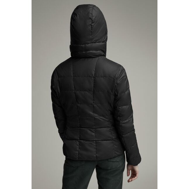 Abbott Hoody M 61 2220L