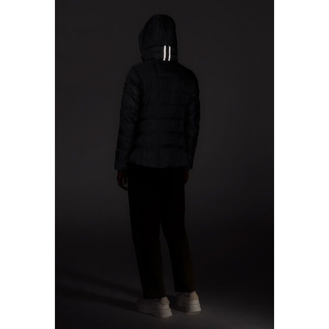 Abbott Hoody - BD