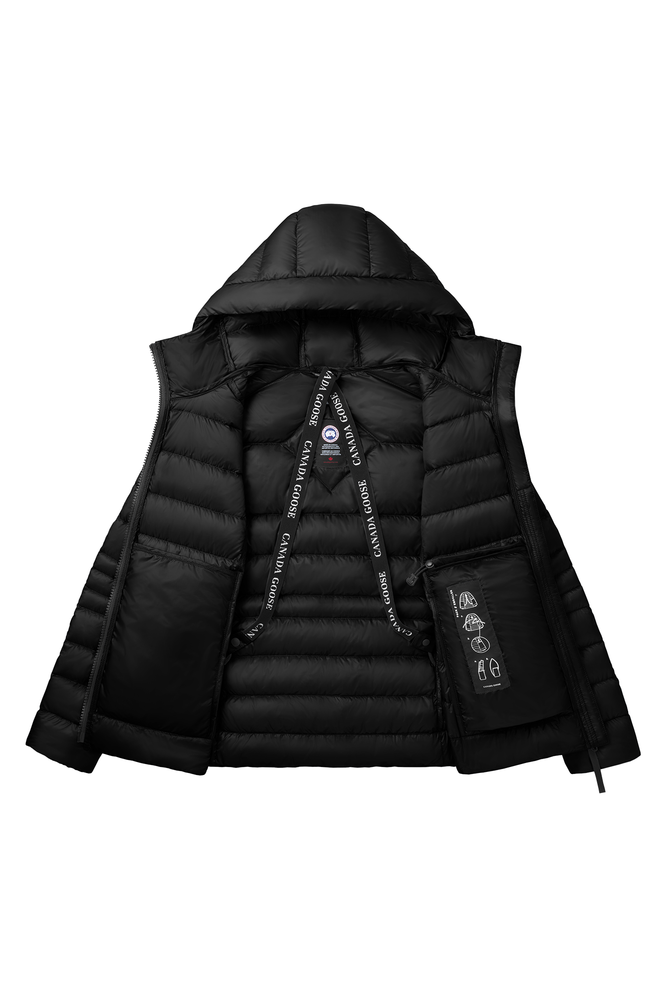 Cypress Hoody