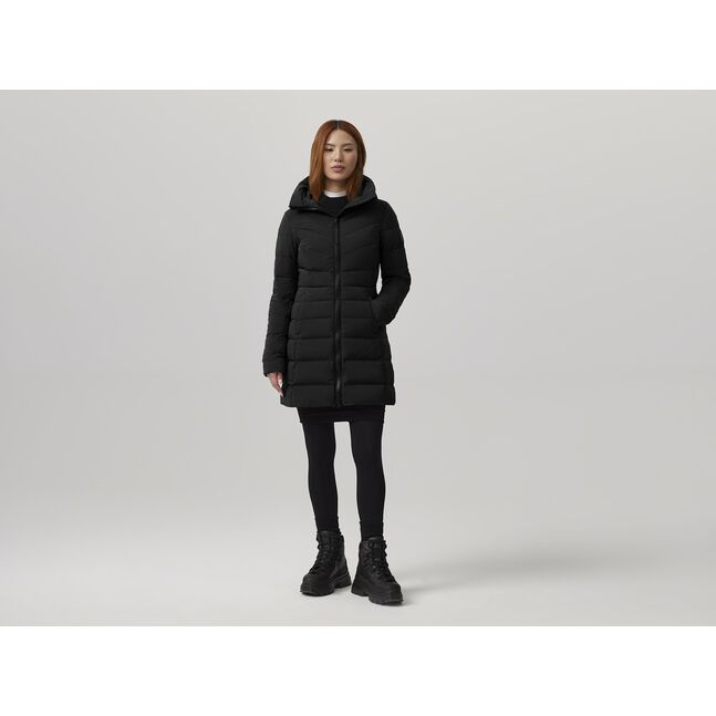 Clair Coat
