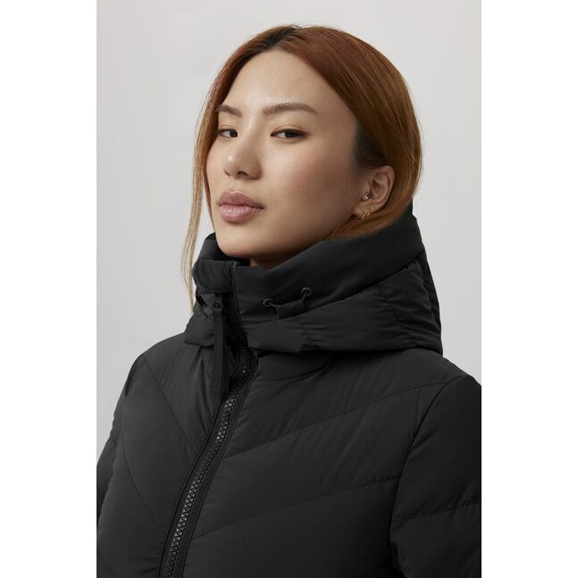 Clair Coat