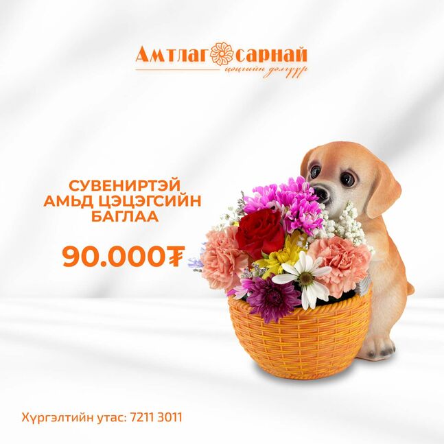 Сувениртэй амьд цэцэгсийн баглаа
