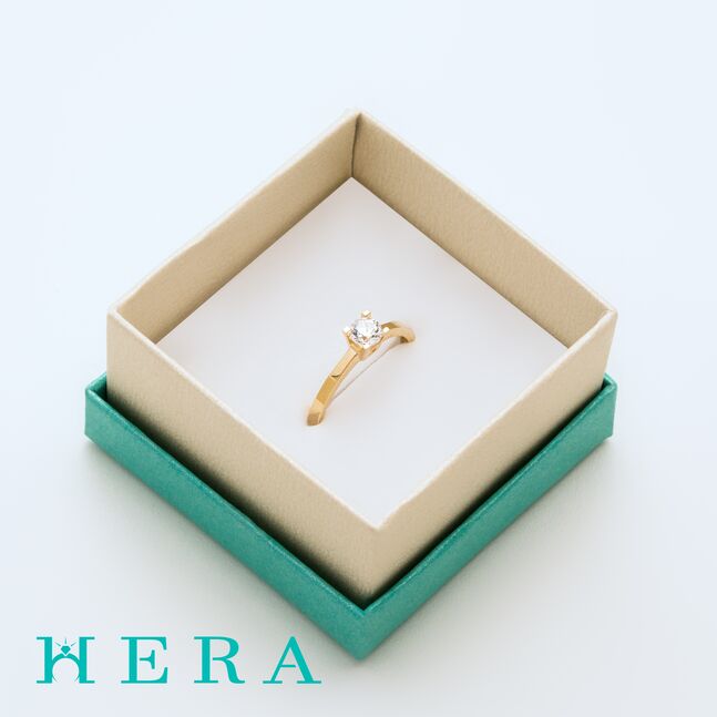 Монет бөгж /Сүйн/