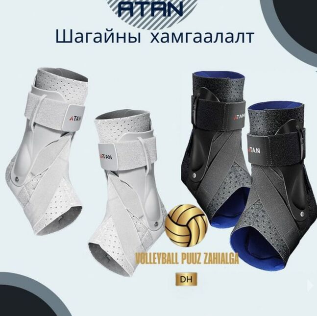 Шагайны хамгаалалт