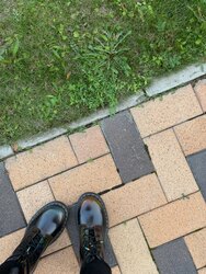 Dr martens 1460 rainbow