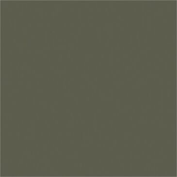 Asa Olive нүүр хавтан