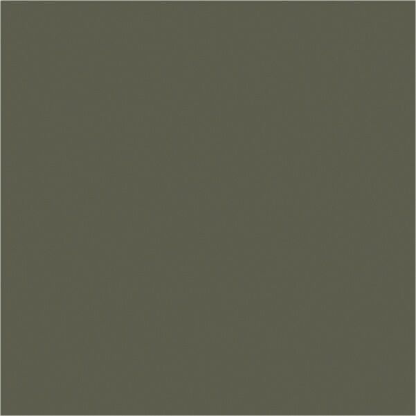 Asa Olive нүүр хавтан