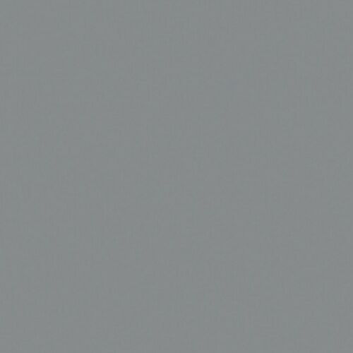 Special pet Mono grey HG гялгар нүүр хавтан