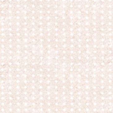 Tinta Celia white нүүр хавтан