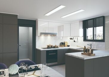 Special pet Dark grey SM нүүр хавтан 