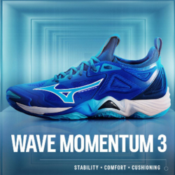 Wave momentum 3