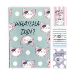 Тэмдэглэлийн дэвтэр b5