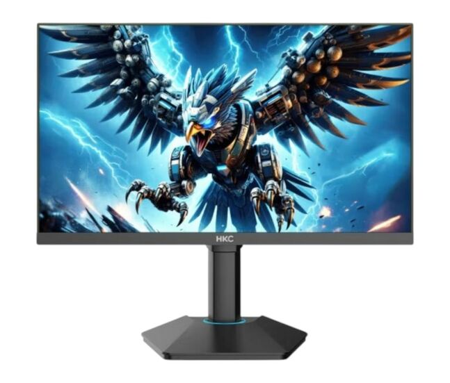 HKC G25H3 24.5'' 300Hz FHD Monitor
