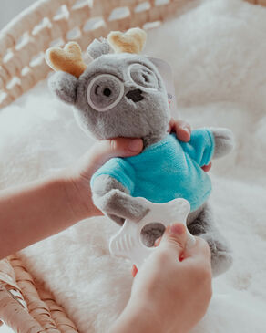 Reindeer toy