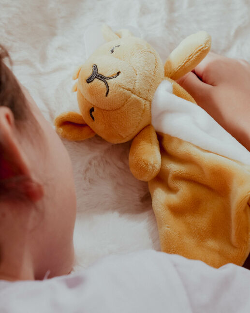 Camel toy