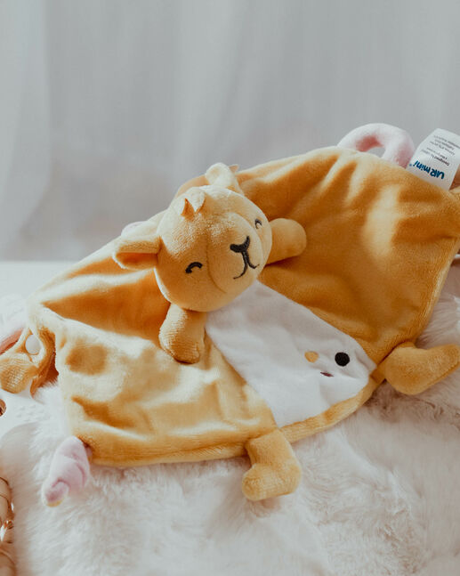 Camel toy