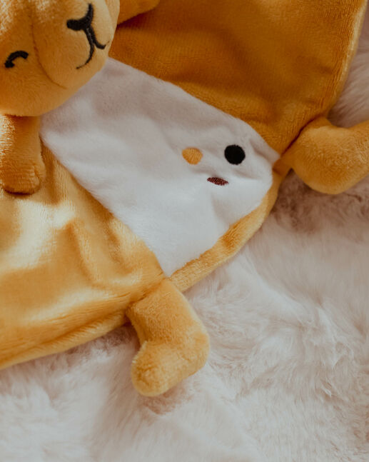 Camel toy