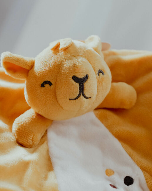 Camel toy