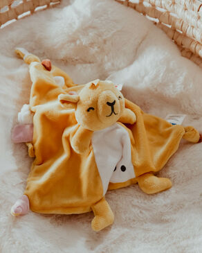 Camel toy