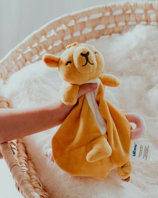 Camel toy