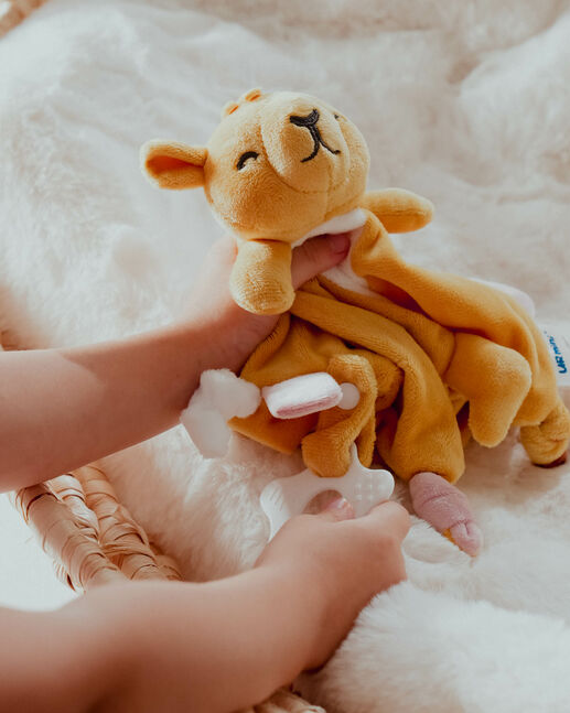 Camel toy