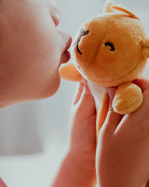 Camel toy