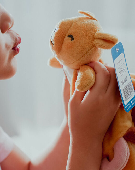 Camel toy