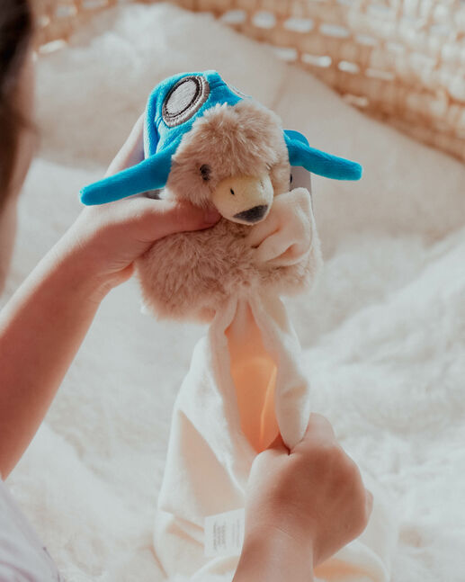 Eagle toy