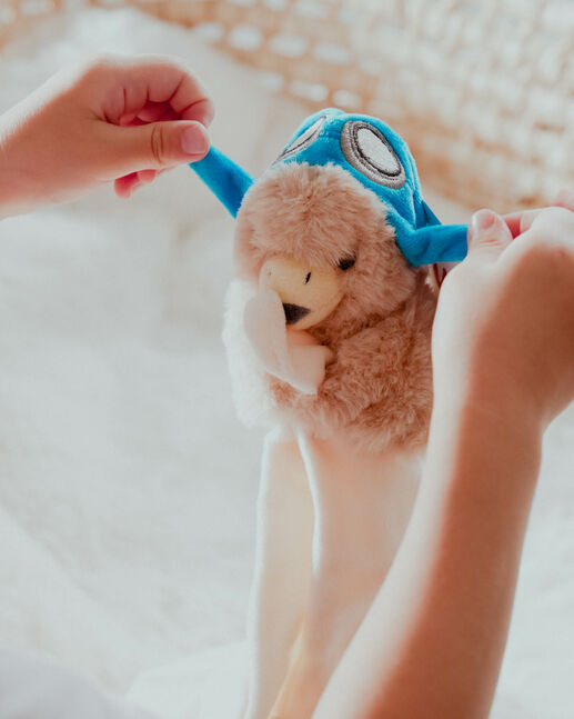 Eagle toy