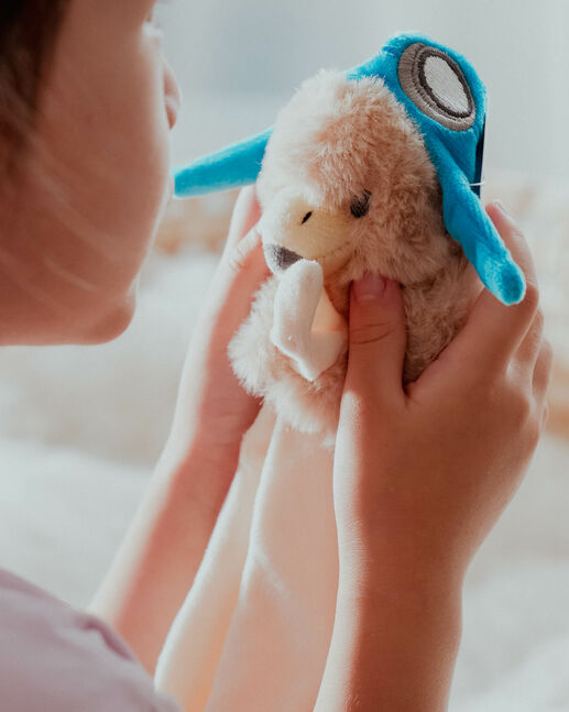 Eagle toy