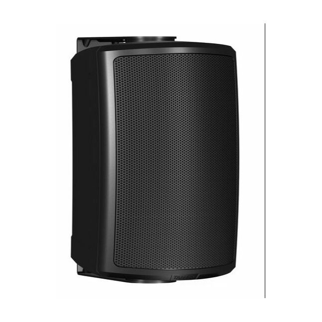 Surface-Mount Loudspeaker (Black)