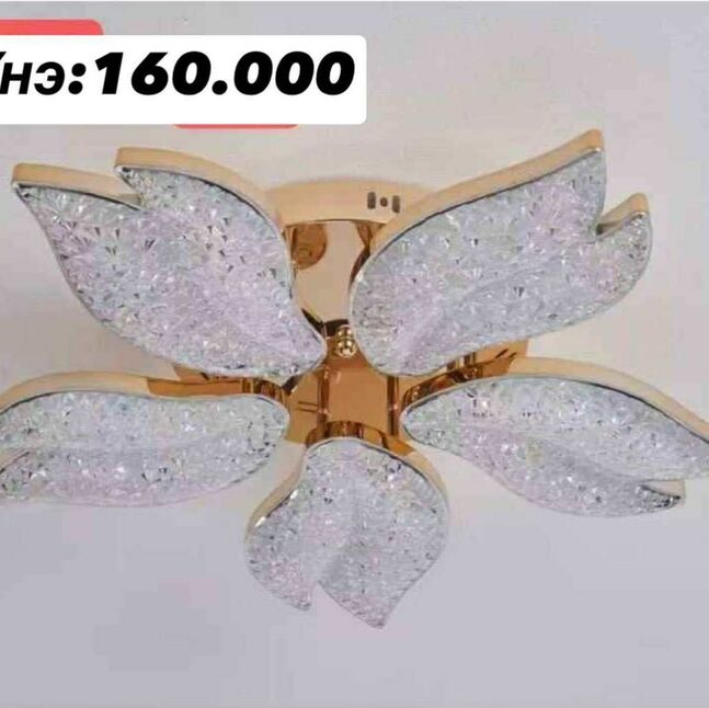 4 өнгө асдаг удирдлагатай