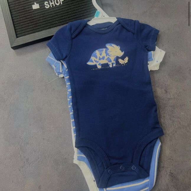 Carters bodysuit 6m
