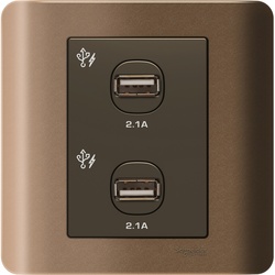 ZENcelo, 2x2.1A, USB Charger, Silver Bronze