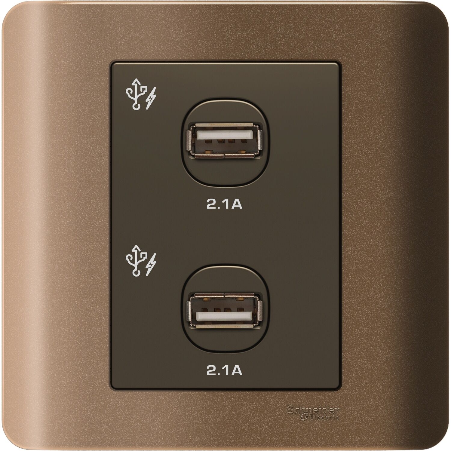 ZENcelo, 2x2.1A, USB Charger, Silver Bronze