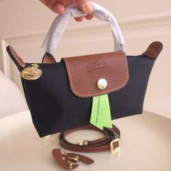 Longchamp mini pouch