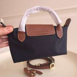 Longchamp mini pouch