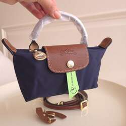 Longchamp mini pouch