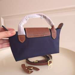 Longchamp mini pouch