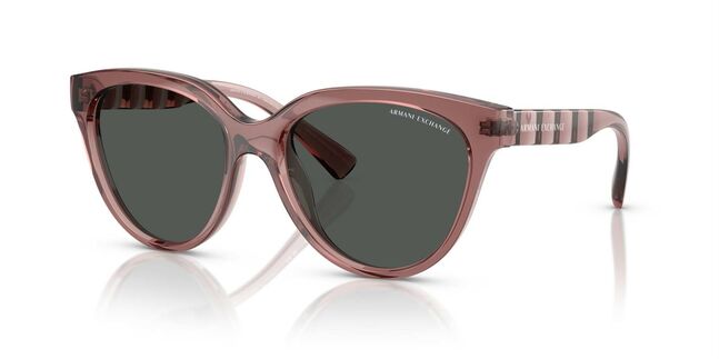 Armani Exchange INJECTED WOMAN SUNGLASS