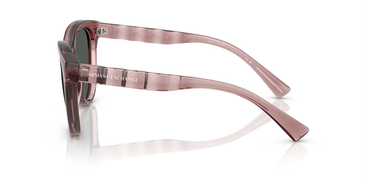 Armani Exchange INJECTED WOMAN SUNGLASS