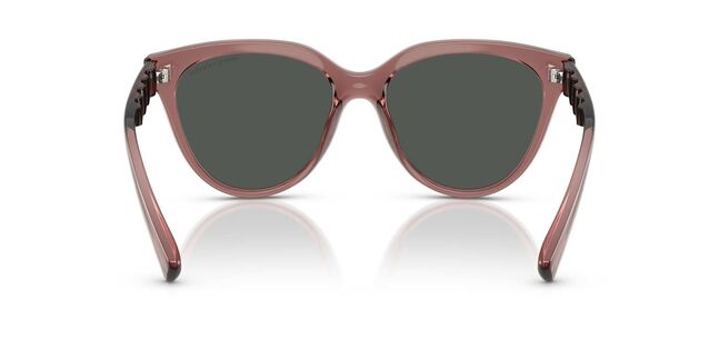 Armani Exchange INJECTED WOMAN SUNGLASS