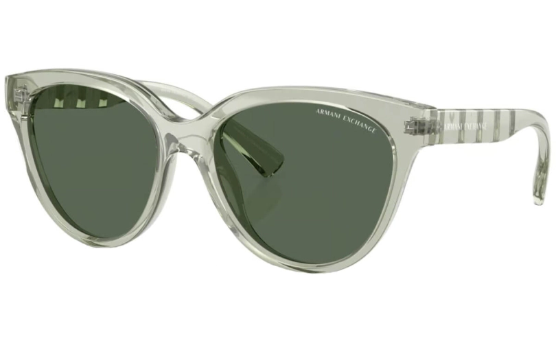 Armani Exchange INJECTED WOMAN SUNGLASS