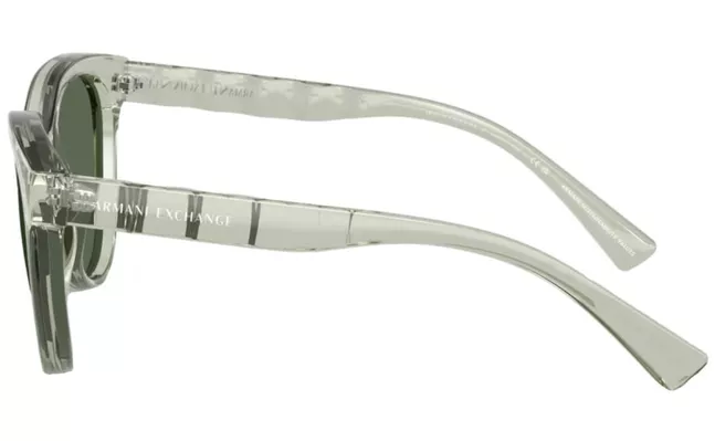 Armani Exchange INJECTED WOMAN SUNGLASS