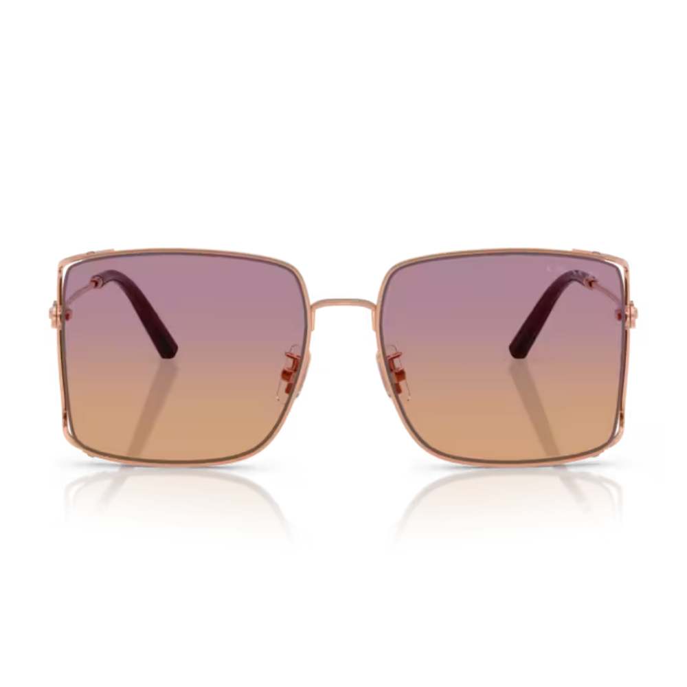 Coach METAL WOMAN SUNGLASS