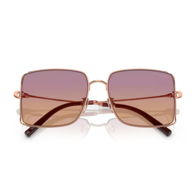 Coach METAL WOMAN SUNGLASS