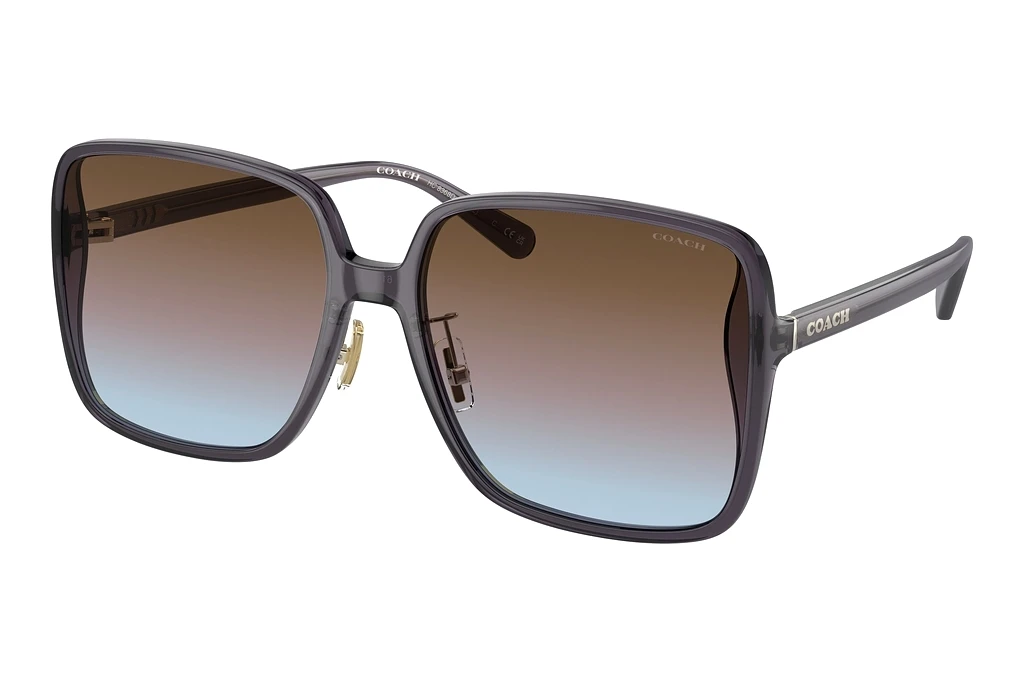 Coach INJECTED WOMAN SUNGLASS