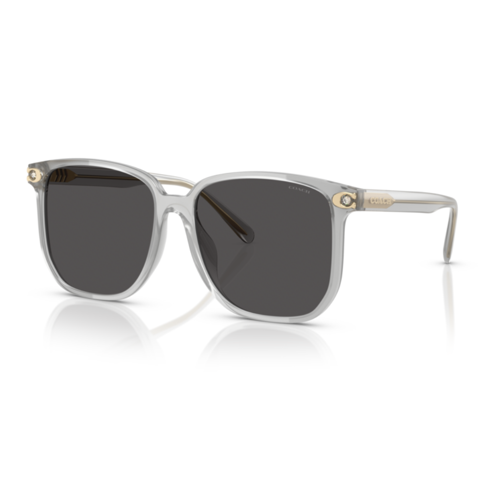 Coach INJECTED WOMAN SUNGLASS